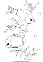 disegni_animali/uccelli/uccelli_38.JPG