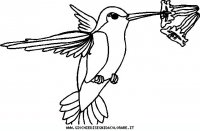 disegni_animali/uccelli/uccelli_40.JPG