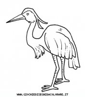 disegni_animali/uccelli/uccelli_b9650.JPG