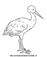 disegni_animali/uccelli/uccelli_b9658.JPG