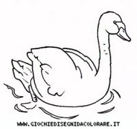 disegni_animali/uccelli/uccelli_b9659.JPG
