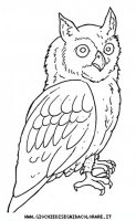 disegni_animali/uccelli/uccelli_b9665.JPG