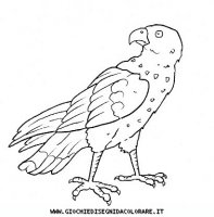 disegni_animali/uccelli/uccelli_b9668.JPG