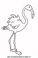 disegni_animali/uccelli/uccelli_b9669.JPG