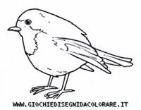 disegni_animali/uccelli/uccelli_b9680.JPG