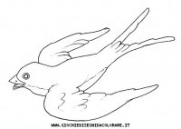 disegni_animali/uccelli/uccelli_b9683.JPG