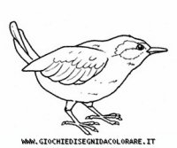 disegni_animali/uccelli/uccelli_b9685.JPG