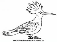 disegni_animali/uccelli/uccelli_b9689.JPG