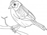 disegni_animali/uccelli/uccello2.jpg