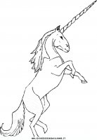 disegni_animali/unicorno/unicorno_12.JPG