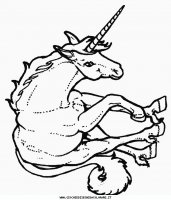 disegni_animali/unicorno/unicorno_7.JPG