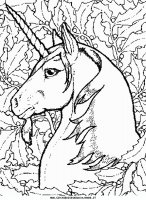disegni_animali/unicorno/unicorno_9.JPG