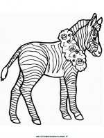 disegni_animali/zebra/zebra001.JPG