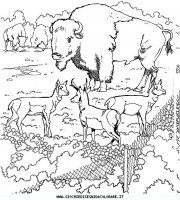 disegni_animali/zoo/zoo_001.JPG