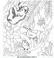 disegni_animali/zoo/zoo_003.JPG