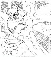 disegni_animali/zoo/zoo_006.JPG