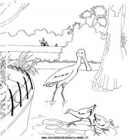disegni_animali/zoo/zoo_008.JPG