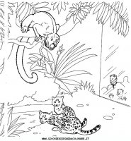 disegni_animali/zoo/zoo_009.JPG