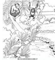 disegni_animali/zoo/zoo_010.JPG