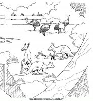 disegni_animali/zoo/zoo_012.JPG