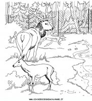 disegni_animali/zoo/zoo_013.JPG