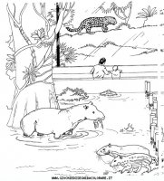 disegni_animali/zoo/zoo_015.JPG