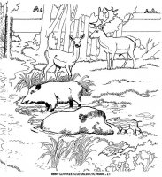 disegni_animali/zoo/zoo_020.JPG