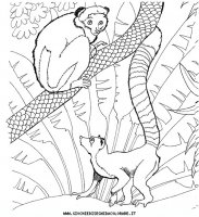 disegni_animali/zoo/zoo_024.JPG