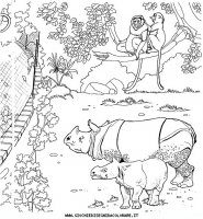 disegni_animali/zoo/zoo_025.JPG