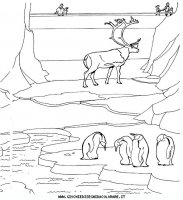 disegni_animali/zoo/zoo_026.JPG