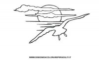 disegni_artistici/disegni_di_paesaggi_da_colorare/gabbiano.jpg