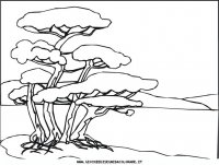 disegni_artistici/disegni_di_paesaggi_da_colorare/paesaggi_23.JPG