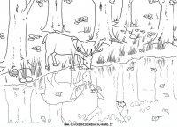 disegni_artistici/disegni_di_paesaggi_da_colorare/paesaggi_32.JPG