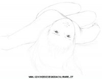 disegni_artistici/matita/disegno_4.JPG
