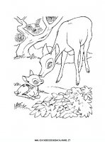 disegni_da_colorare/bambi/bambi_3.JPG