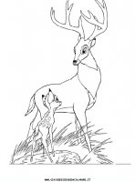 disegni_da_colorare/bambi/bambi_53.JPG