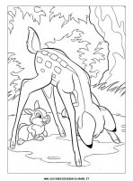 disegni_da_colorare/bambi/bambi_85.pg.JPG