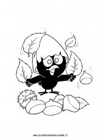 disegni_da_colorare/calimero/calimero_9.JPG