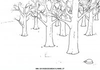 disegni_da_colorare/gigante_egoista/gigante3.JPG