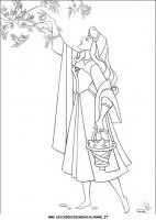 disegni_da_colorare/la_bella_addormentata_nel_bosco/020g.JPG