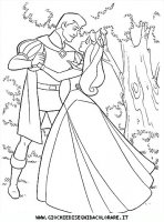 disegni_da_colorare/la_bella_addormentata_nel_bosco/bella_addormentata_a20.JPG