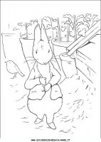 disegni_da_colorare/peter_coniglio/peter_coniglio03.JPG