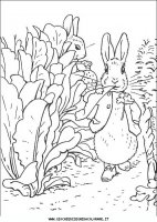 disegni_da_colorare/peter_coniglio/peter_coniglio16.JPG