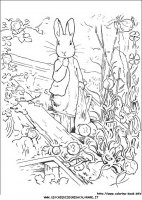 disegni_da_colorare/peter_coniglio/peter_coniglio17.JPG