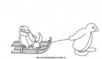 disegni_da_colorare/pingu/pingu_b3.JPG