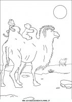 disegni_da_colorare/piuma_orsetto_polare/piuma_orso_polare3.JPG