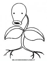 disegni_da_colorare/pokemon/69-chetiflor-g.JPG