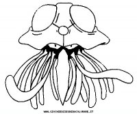 disegni_da_colorare/pokemon/73-tentacruel-g.JPG