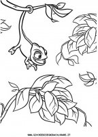 disegni_da_colorare/rapunzel/rapunzel_21.JPG