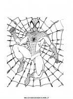 disegni_da_colorare/spiderman/spiderman_3.JPG